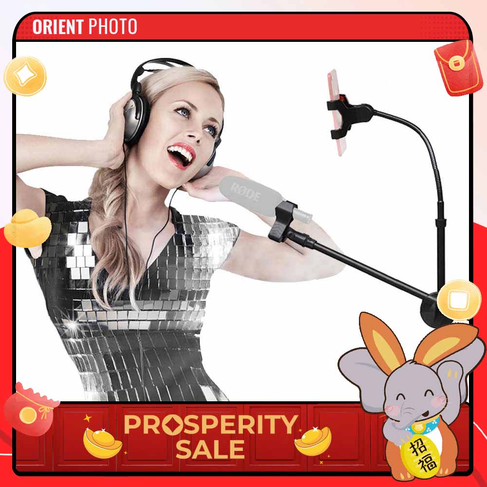eDSLRs Professional Microphones Swing Boom Floor Stand Mic Stand With Mobile Phone Holder TikTok Live Stream Facebook Live